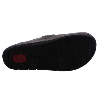 Rohde 6743 antrasiet