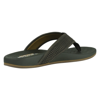 Skechers 65093 bruin