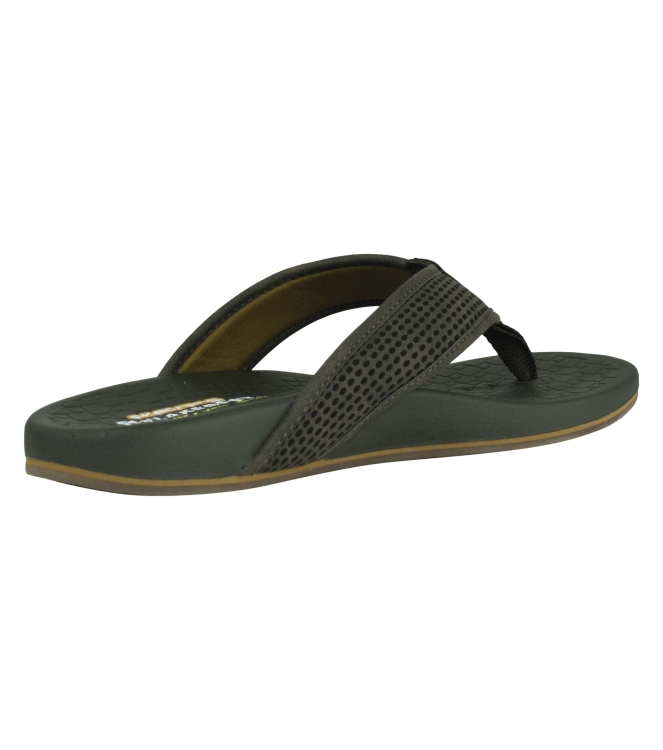 Skechers 65093 bruin