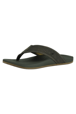 Skechers 65093 bruin