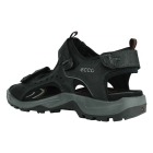 Ecco 822044 zwart