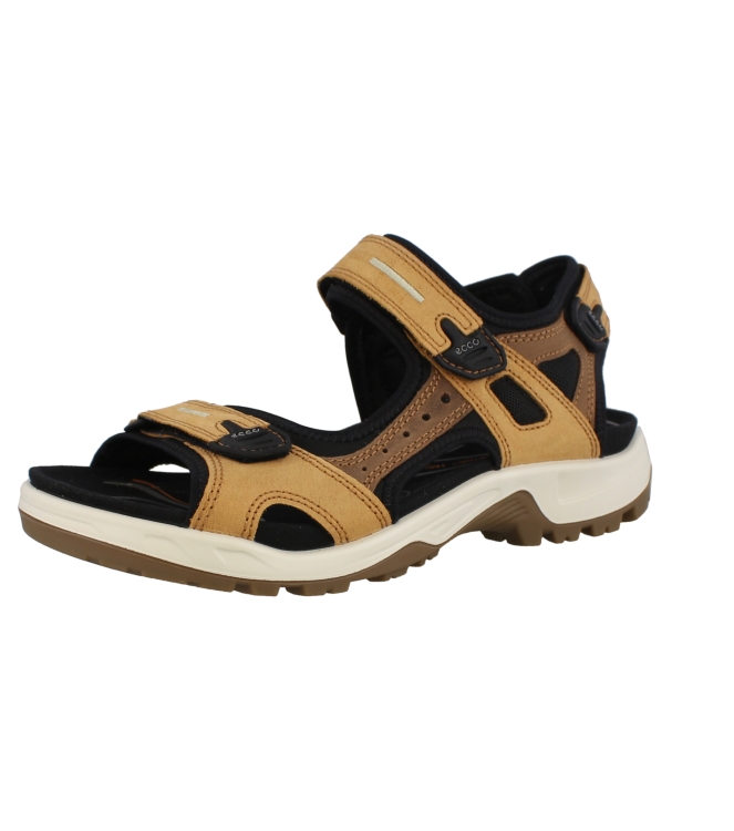 Ecco 69564 bruin