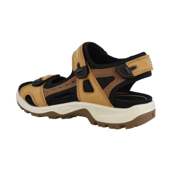 Ecco 69564 bruin