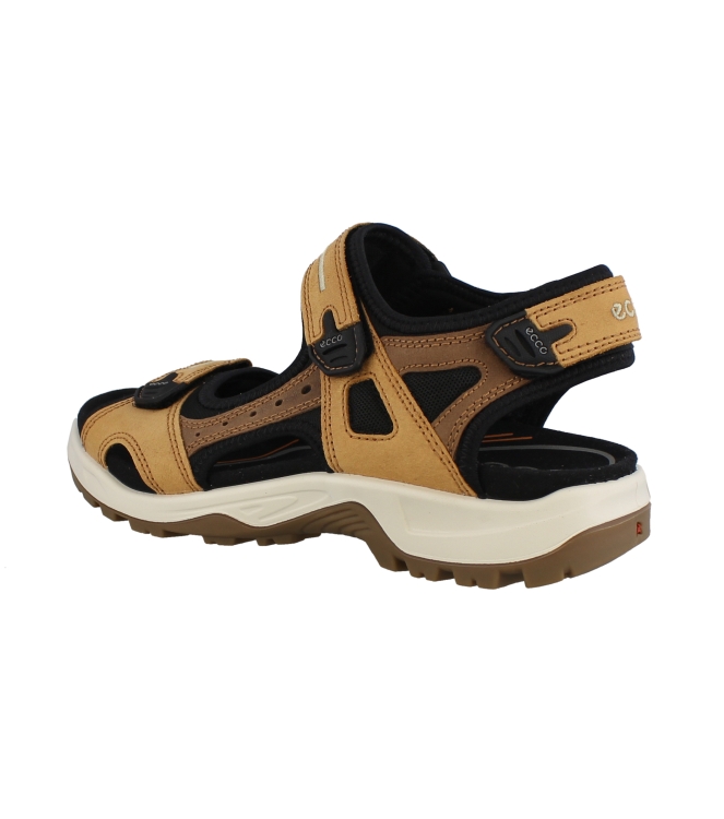 Ecco 69564 bruin