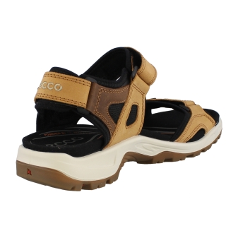 Ecco 69564 bruin