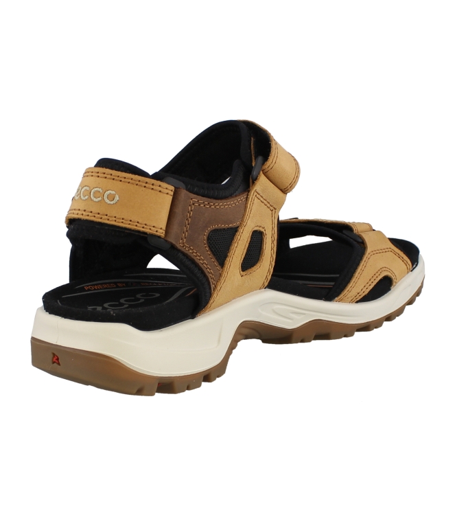 Ecco 69564 bruin
