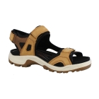 Ecco 69564 bruin