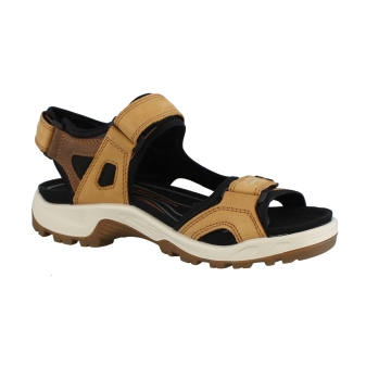Ecco 69564 bruin