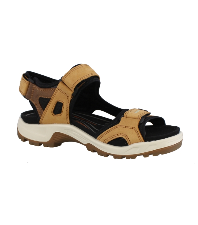 Ecco 69564 bruin