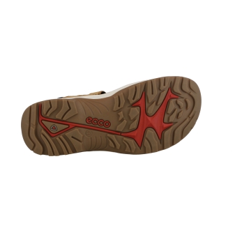 Ecco 69564 bruin
