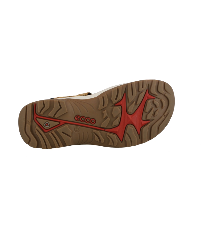 Ecco 69564 bruin