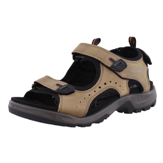 Ecco 822044 bruin