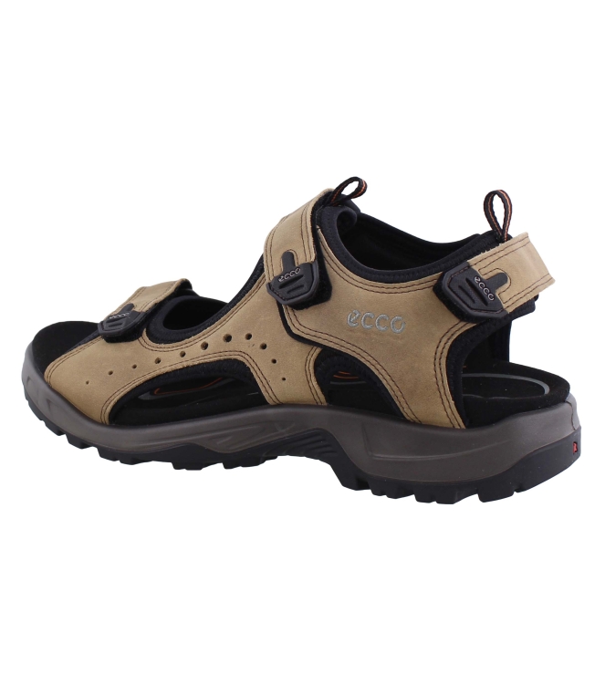 Ecco 822044 bruin