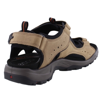 Ecco 822044 bruin