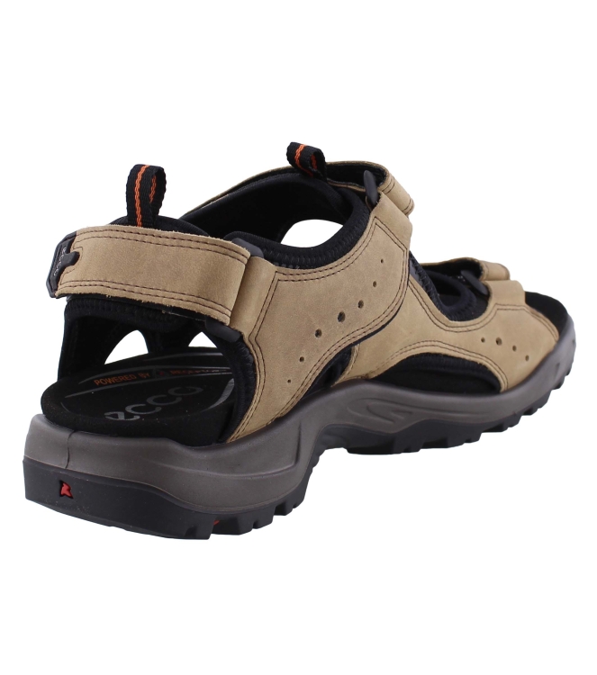 Ecco 822044 bruin