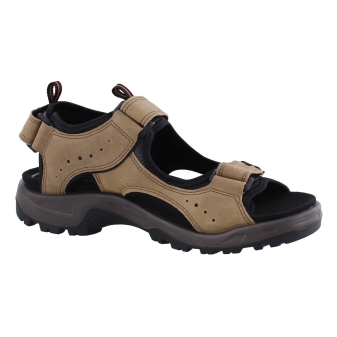 Ecco 822044 bruin