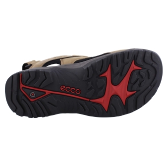 Ecco 822044 bruin