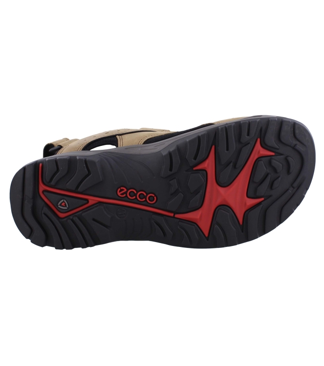 Ecco 822044 bruin