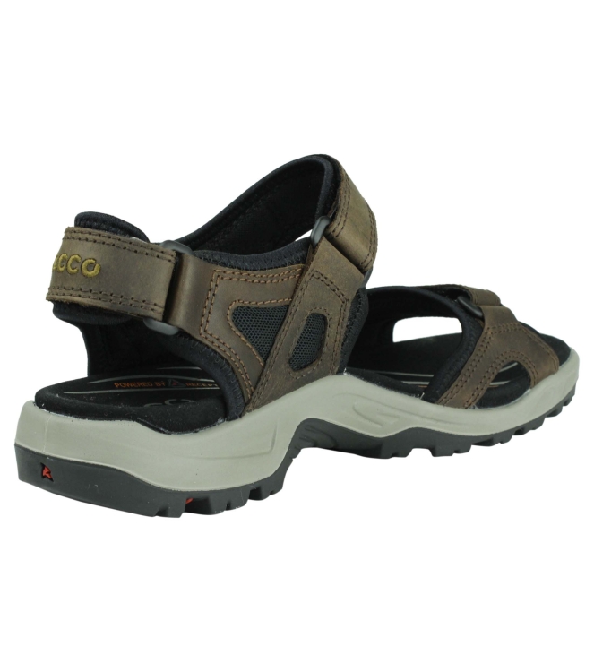 Ecco 069564 Offroad bruin
