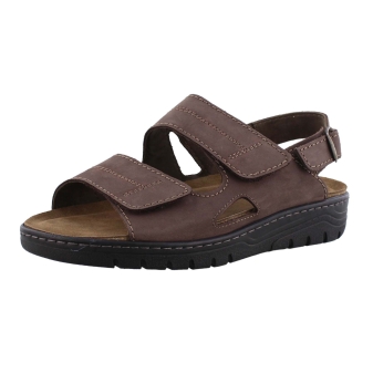 Solidus 78061 bruin