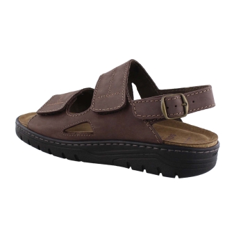 Solidus 78061 bruin