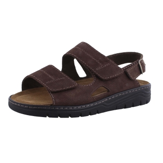 Solidus 78061 bruin