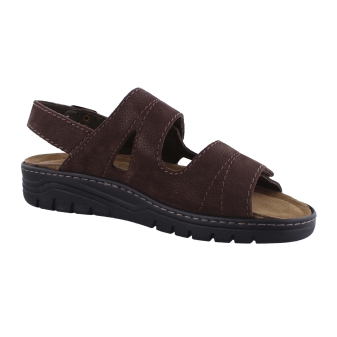 Solidus 78061 bruin