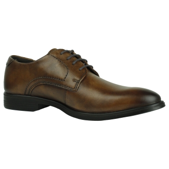 Ecco 621634 bruin