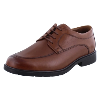 Solidus 81180 cognac