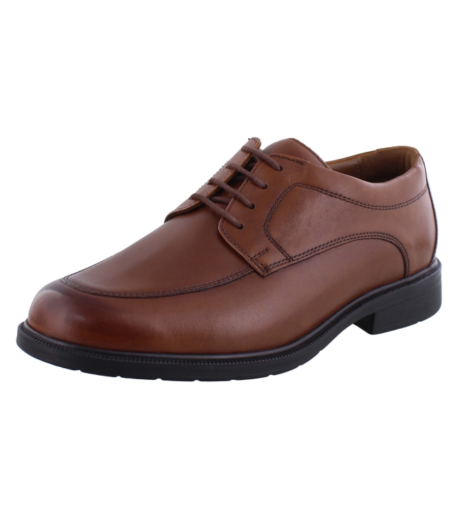 Solidus 81180 cognac