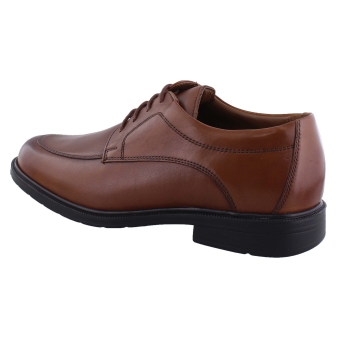 Solidus 81180 cognac
