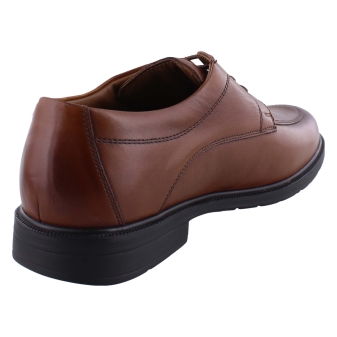 Solidus 81180 cognac