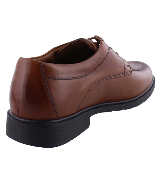 Solidus 81180 cognac