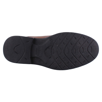 Solidus 81180 cognac