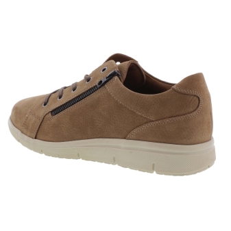 Solidus 64013 l.bruin
