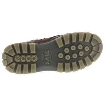 Ecco 831714 bruin