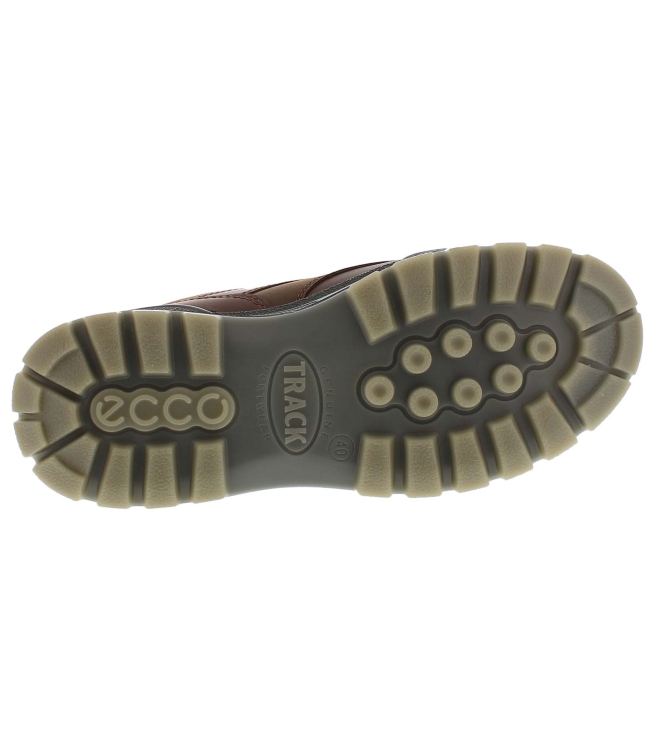 Ecco 831714 bruin
