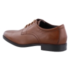 Clarks 26162017 bruin