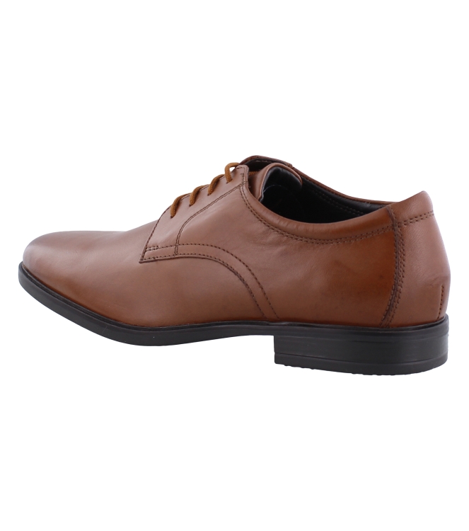 Clarks 26162017 bruin
