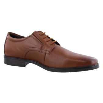 Clarks 26162017 bruin