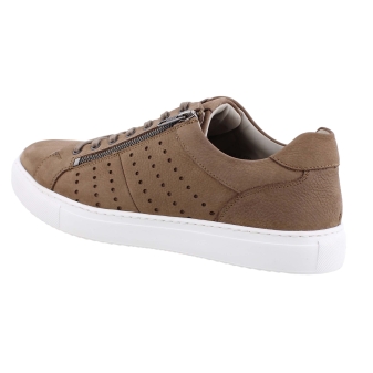 Solidus 80091 bruin