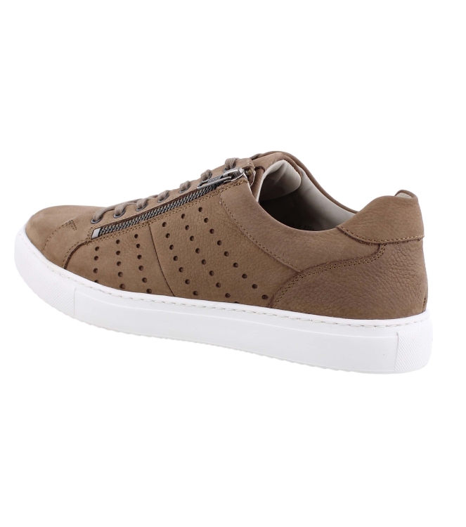 Solidus 80091 bruin