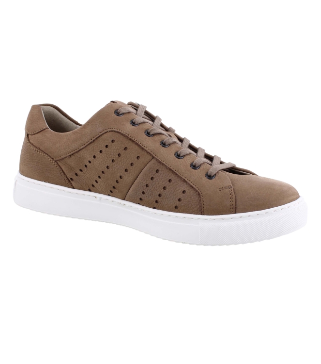 Solidus 80091 bruin