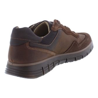 Ara 11-23401-09 bruin