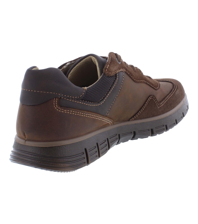 Ara 11-23401-09 bruin