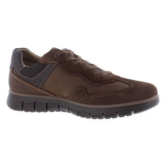 Ara 11-23401-09 bruin