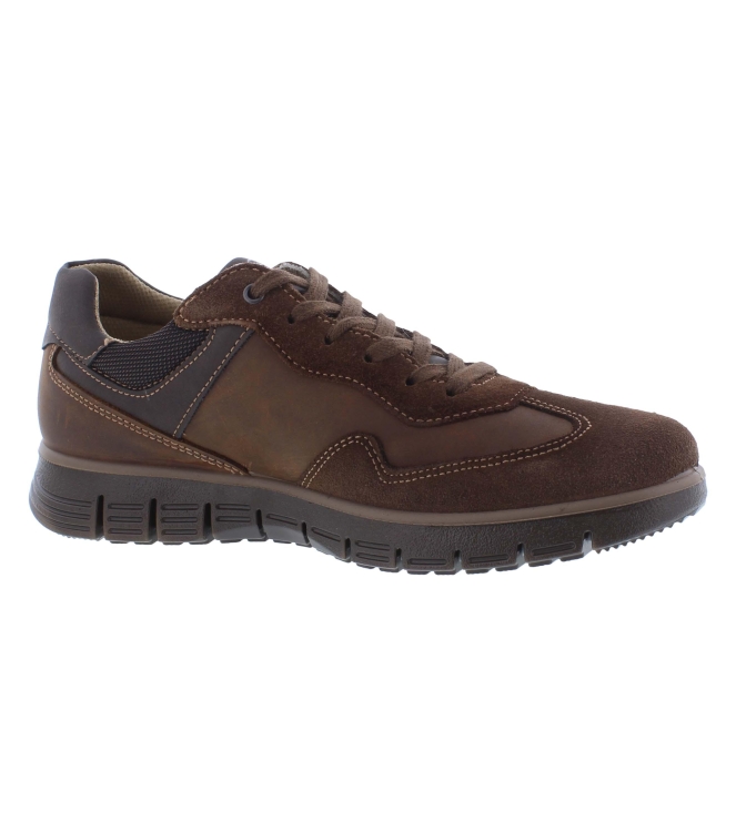 Ara 11-23401-09 bruin