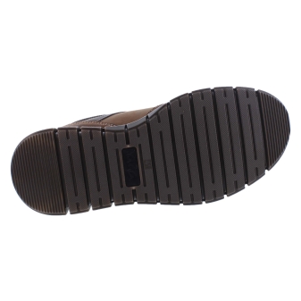Ara 11-23401-09 bruin