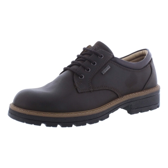 Ara 11-23656-19 bruin