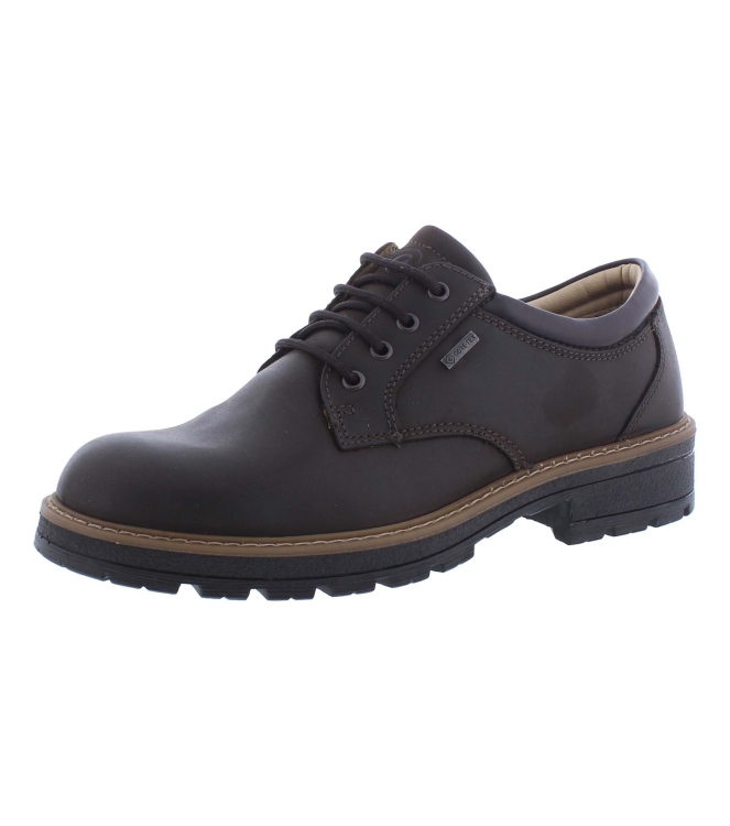 Ara 11-23656-19 bruin
